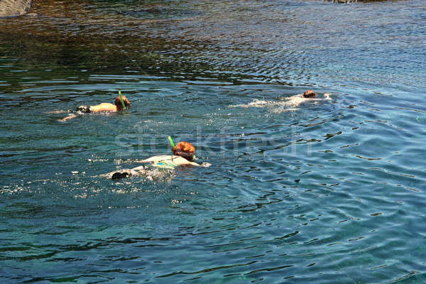 people snorkeling in a natural basin in Lanzarote Stock photo © meinzahn