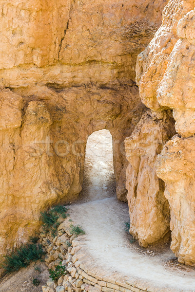 beautiful arch in rock in Bryce Canyon  Stock photo © meinzahn