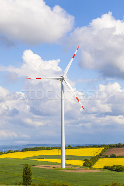 Szélturbina elektromosság kék ég fű zöld ipar Stock fotó © meinzahn