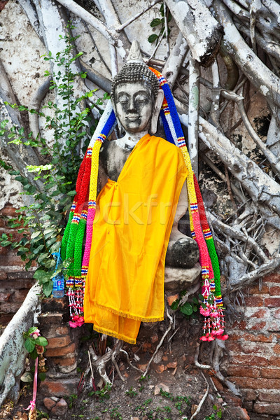 buddha covered by roots in temple area Wat Phra Si Sanphet, Roya Stock photo © meinzahn