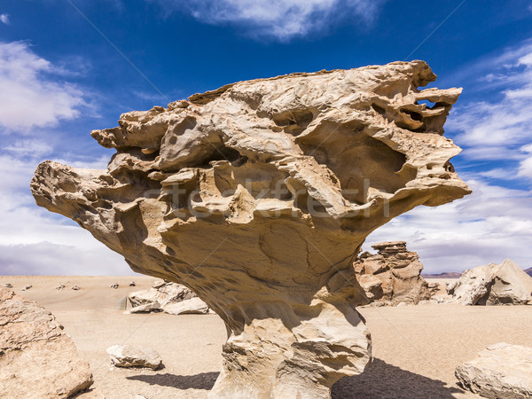 Pietra albero isolato formazione rocciosa panorama arte Foto d'archivio © meinzahn