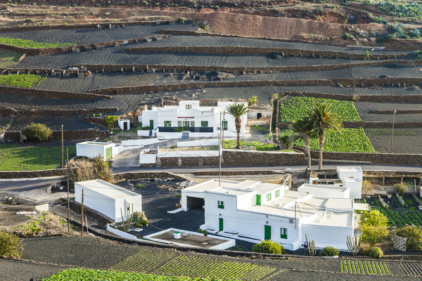 Stock photo: farmhouse in rural hilly area in Lanzarote 