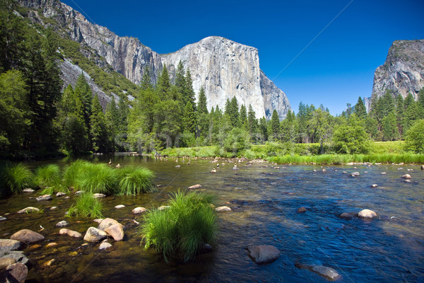 Kilátás western rakéta fennsík Yosemite Nemzeti Park gyönyörű Stock fotó © meinzahn