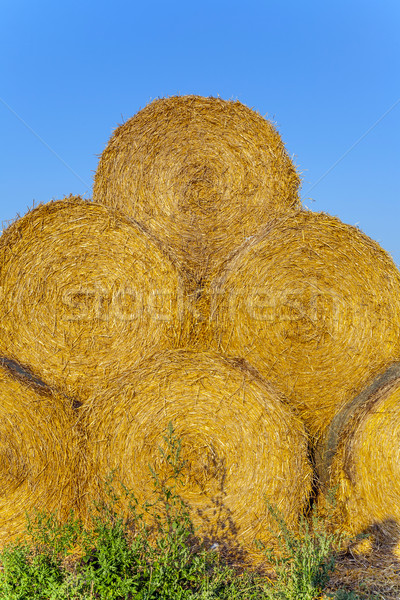 Stock photo: bale of straw in autumn in intensive colors