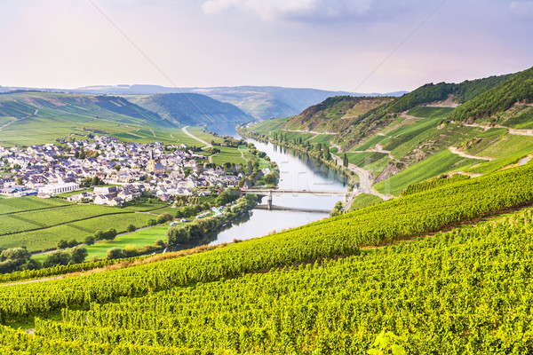 famous Moselle Sinuosity with vineyards Stock photo © meinzahn