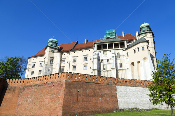 Wawel royal castle in Krakow, Poland  Stock photo © meinzahn