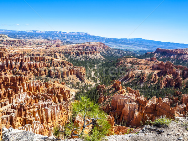 Magnifique loin érosion canyon parc Utah [[stock_photo]] © meinzahn