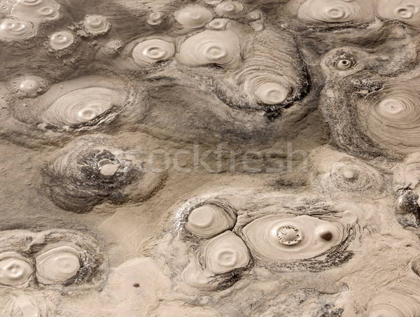 Gejzer Boliwia wody krajobraz świetle pustyni Zdjęcia stock © meinzahn