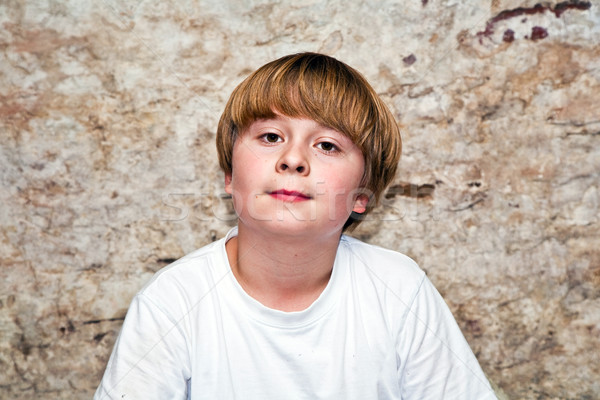 Chłopca świetle brązowe włosy brązowe oczy przyjazny szczęśliwy Zdjęcia stock © meinzahn