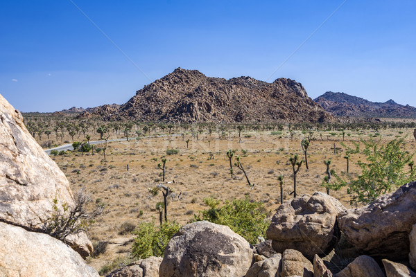 scenic rocks in Joshua Tree National Park  Stock photo © meinzahn