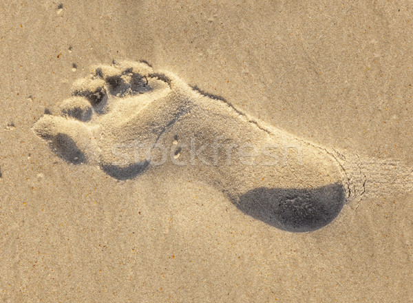 footprints at the beach Stock photo © meinzahn