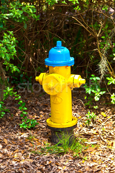 hydrant in the park Stock photo © meinzahn