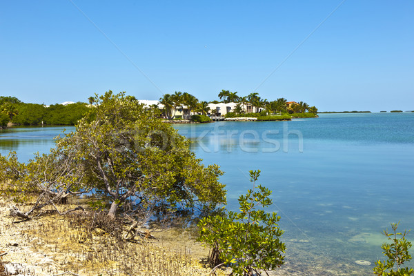 beautiful living area in the Keys  Stock photo © meinzahn