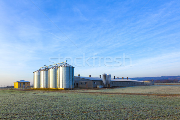 field in harvest with silo Stock photo © meinzahn
