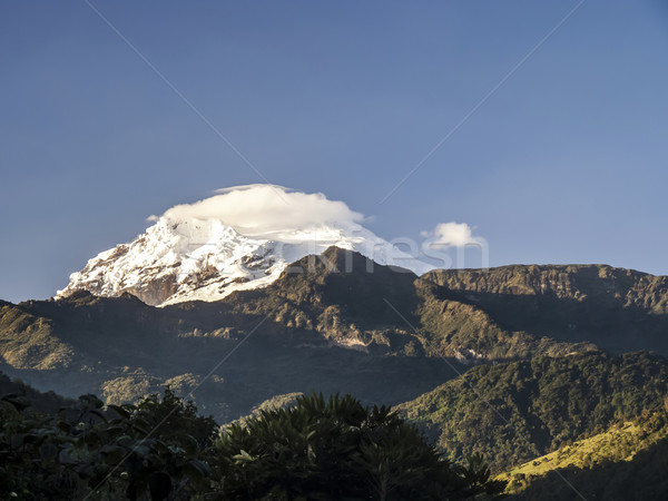 snow capped Antisana Volcano, Ecuador Stock photo © meinzahn
