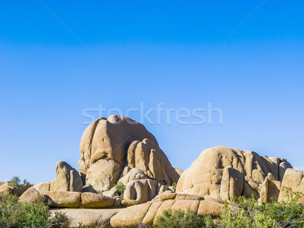 scenic golden rocks  in Joshua Tree National Park  Stock photo © meinzahn