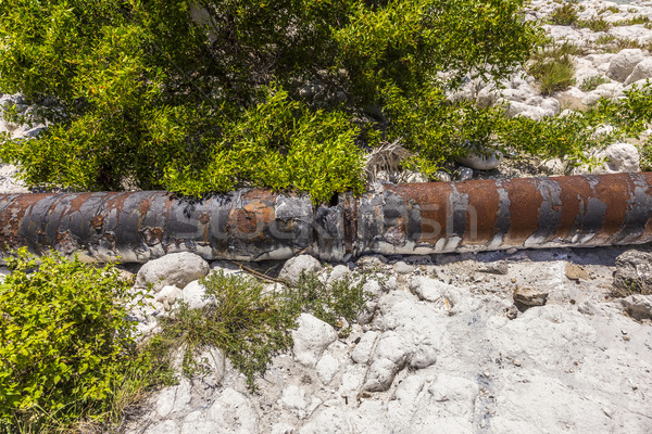 old rusty tubes at the beach Stock photo © meinzahn