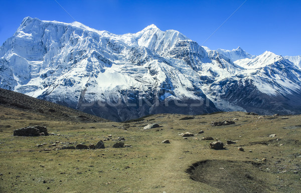 View of north face of Annapurna II and Annapurna IV from Kicho v Stock photo © meinzahn