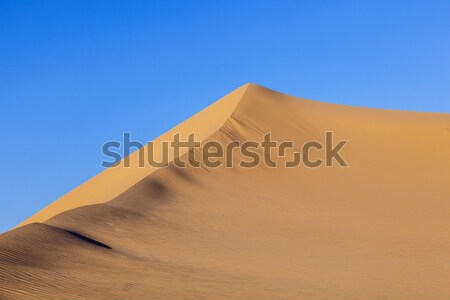 Dune de sable sunrise désert belle soleil paysage [[stock_photo]] © meinzahn