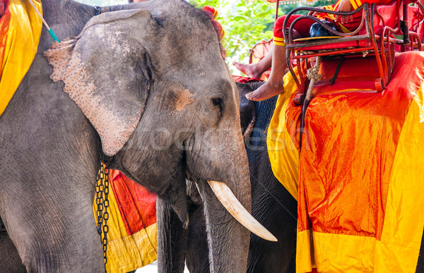 Слоны туристических старые искусства Азии история Сток-фото © meinzahn