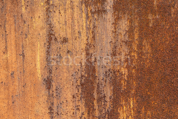 rusty metal background Stock photo © meinzahn