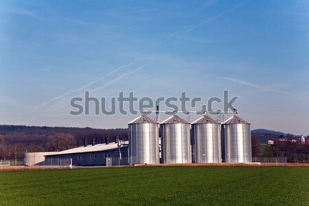 Stock photo: acres with snow in winter in beautiful light and structure