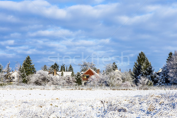 snow covered fields with settlement at the horizon in Munich Stock photo © meinzahn