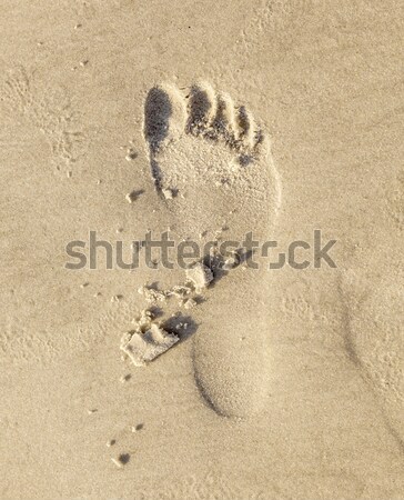 footsteps in the sand of the beach Stock photo © meinzahn