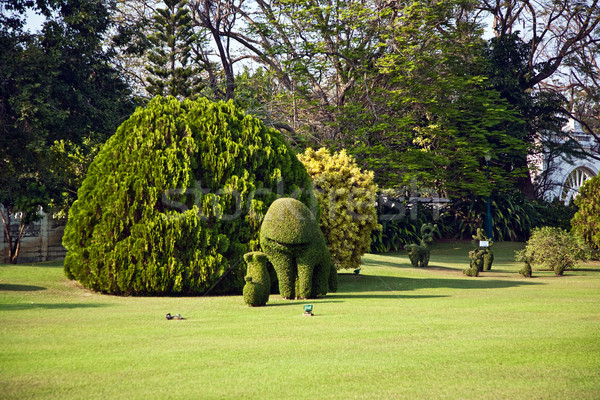 bushes cut to animal figures in the park of Bang Pa-In  Stock photo © meinzahn
