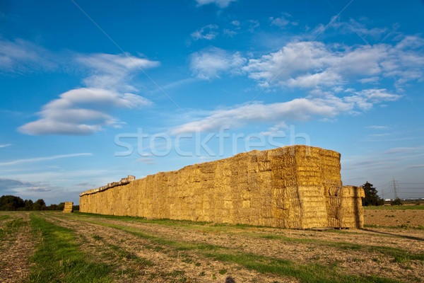 Bale paille intensive couleurs ciel soleil [[stock_photo]] © meinzahn