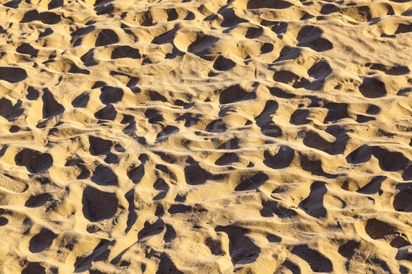 human footsteps at the beach Stock photo © meinzahn