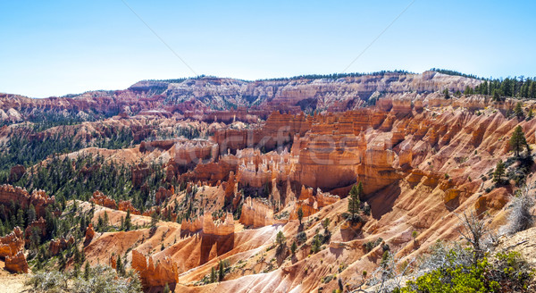 Great spires carved away by erosion in Bryce Canyon National Par Stock photo © meinzahn