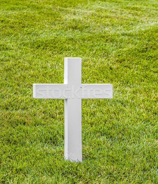 graves at Arlington national Cemetery in Washington Stock photo © meinzahn