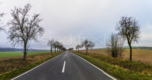 street in rural landscape in Thuringia Stock photo © meinzahn