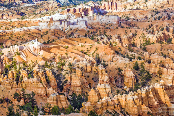 Hermosa paisaje canón magnífico piedra formación Foto stock © meinzahn