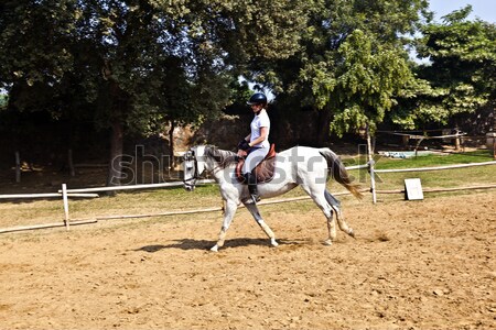 female rider trains the horse in the riding course Stock photo © meinzahn