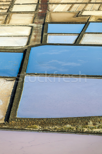 Salt refinery, Saline from Janubio, Lanzarote, Spain Stock photo © meinzahn