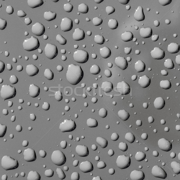 Stock photo: water drops on a metallic surface