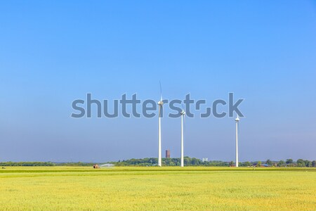 green meadow with Wind turbines generating electricity  Stock photo © meinzahn