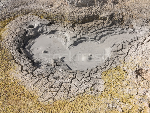 Geyser basin Sol de Manana, Bolivia Stock photo © meinzahn