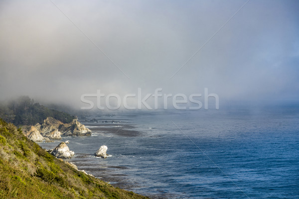coast in fo between Pfeiffer National Park and Pacific Valley Stock photo © meinzahn