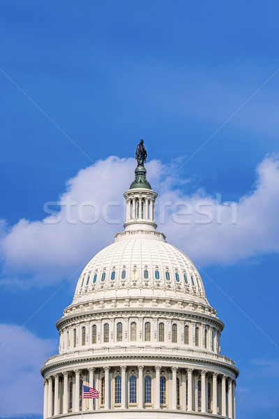 Capital Building, Washington  Stock photo © meinzahn