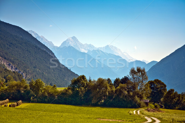 beautiful landscape in the tirolean Alps, good smelling grass an Stock photo © meinzahn