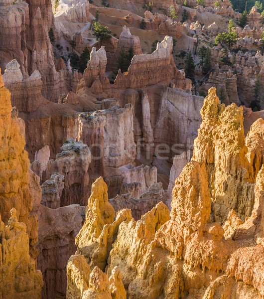 beautiful landscape in Bryce Canyon  Stock photo © meinzahn