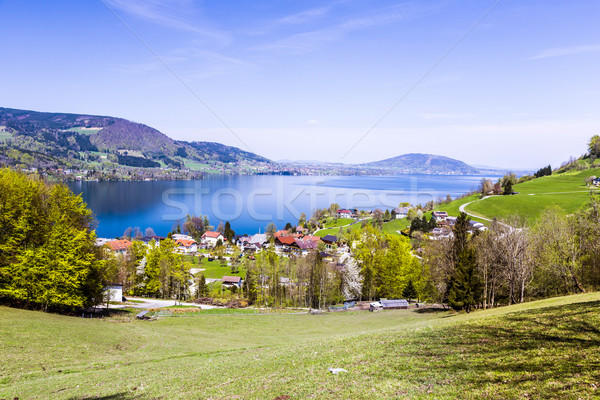 beautiful view to the Attersee in Austria Stock photo © meinzahn