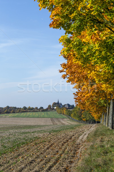 Foto stock: Panorámica · paisaje · callejón · campos · forestales · mal