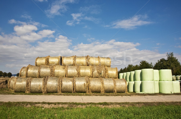 bale of straw infold in plastic film (foil) to keep dry  Stock photo © meinzahn