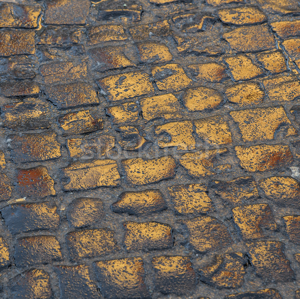 wet cobblestones reflect the sun Stock photo © meinzahn