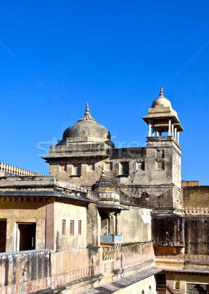famous Amber Fort in Jaipur Stock photo © meinzahn