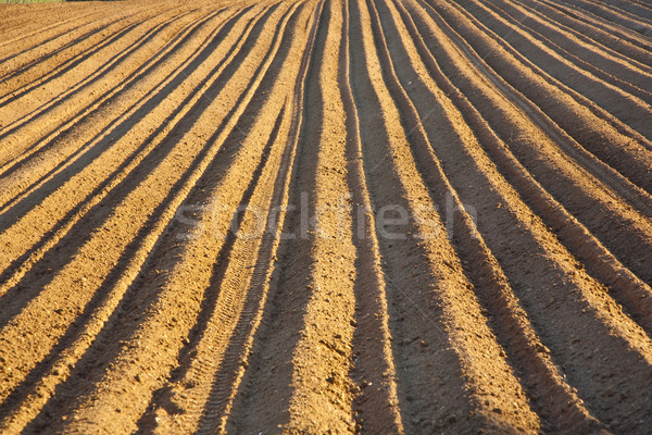 Background of newly plowed field  Stock photo © meinzahn